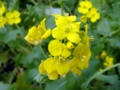 20100404121531