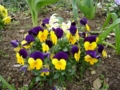 20100404122804