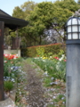20100410144318