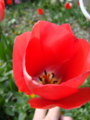 20100410144346