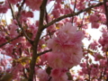 20100424150841