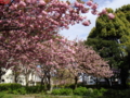 20100424150902