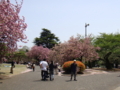 20100429122805