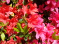 20100429122826