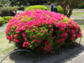 20100429123020