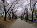 20110409132628