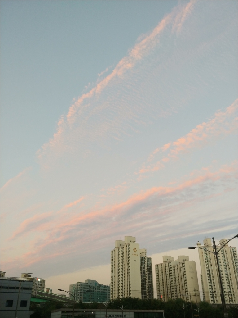 f:id:neruyooo:20180827205001j:plain:w350 f:id:neruyooo:20180827205001j:plain:w350