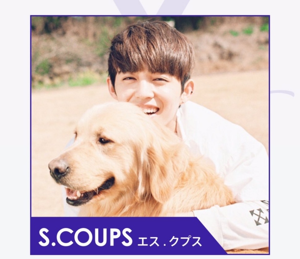 f:id:neruyooo:20190102171902j:plain
