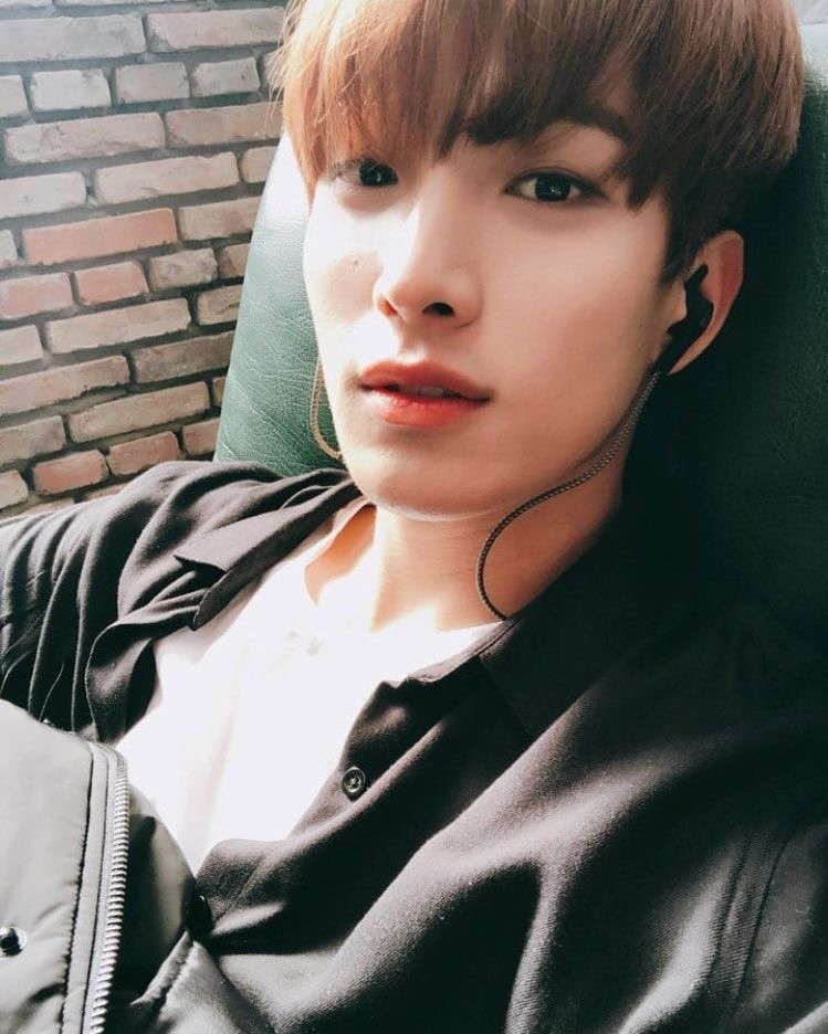 f:id:neruyooo:20190102173317j:plain