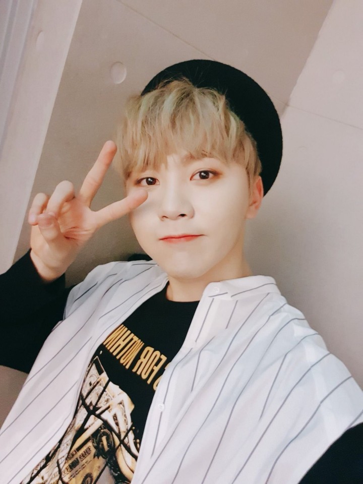 f:id:neruyooo:20190102173642j:plain