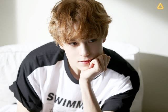 f:id:neruyooo:20190102173730j:plain