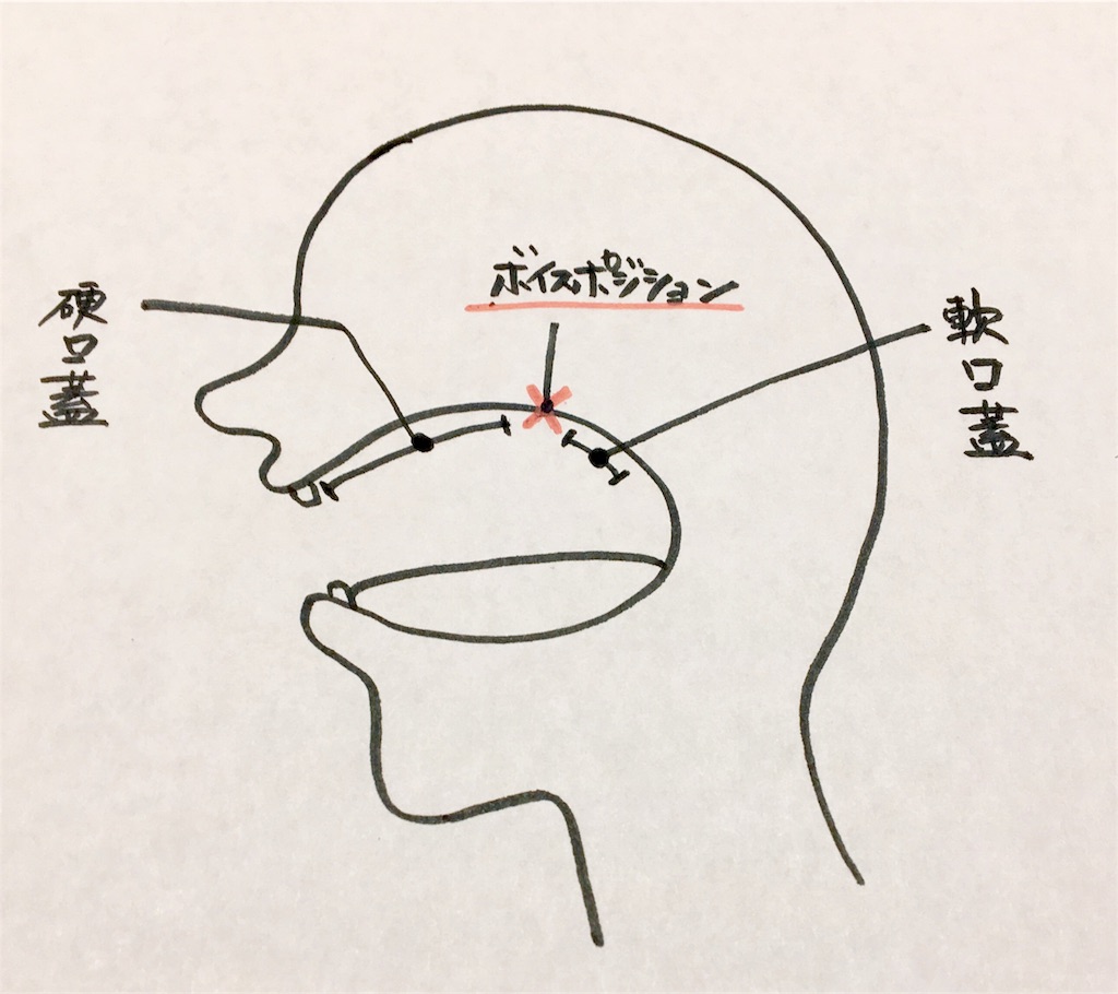 f:id:nesai1205si:20190521143700j:image