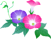 f:id:nessko:20080703201030g:image