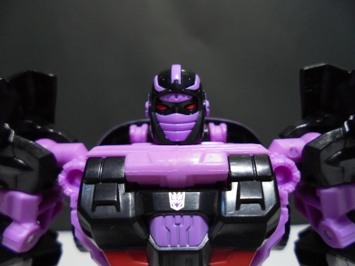 f:id:nesutonemesisu:20210214195402j:plain