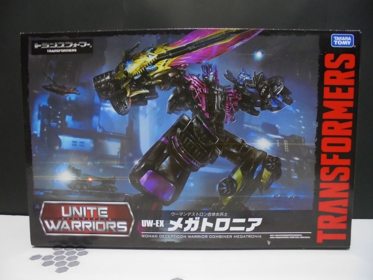 f:id:nesutonemesisu:20210216215654j:plain