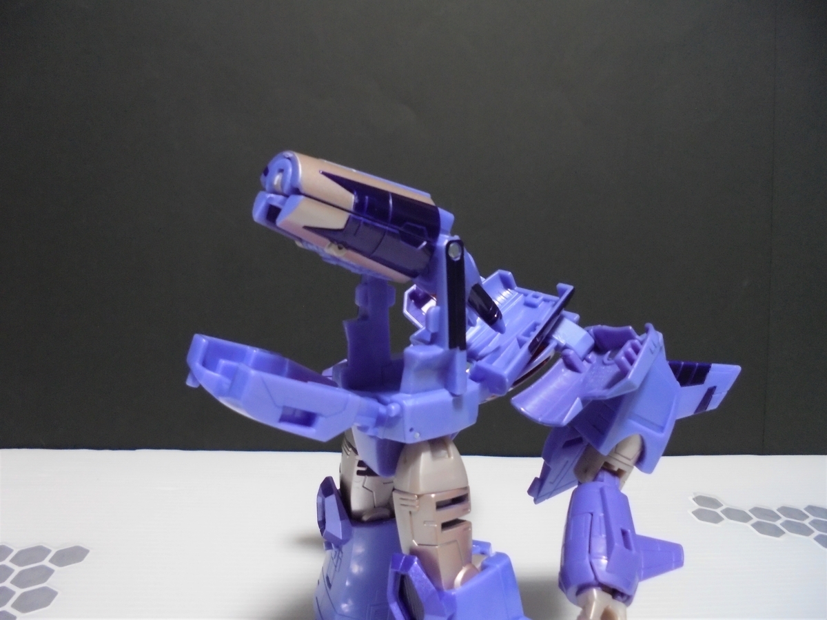 f:id:nesutonemesisu:20210530215144j:plain