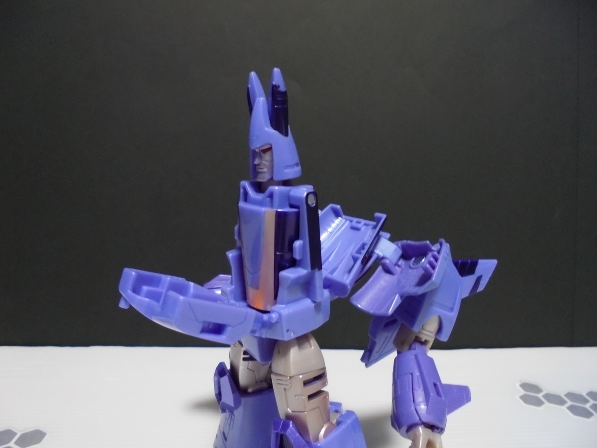 f:id:nesutonemesisu:20210530215603j:plain