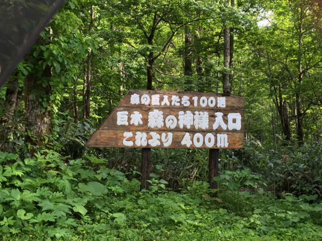 f:id:net-life-blog:20160703172006j:plain