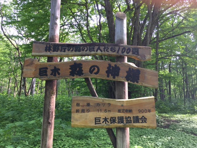 f:id:net-life-blog:20160703172103j:plain