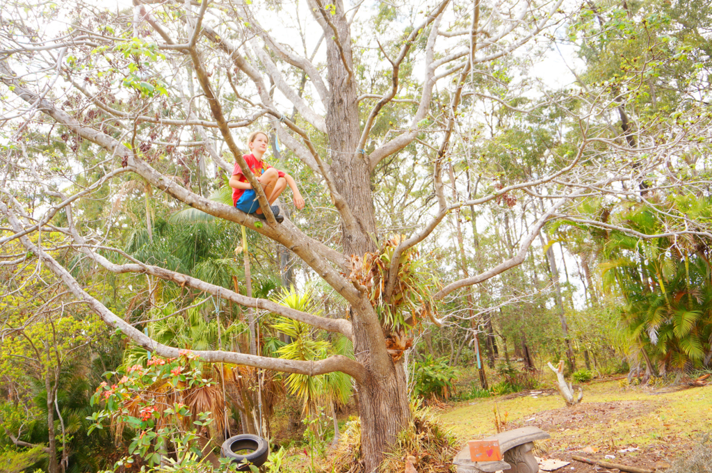 f:id:net_space:20171005133710j:plain