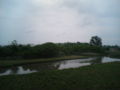 20080616005252