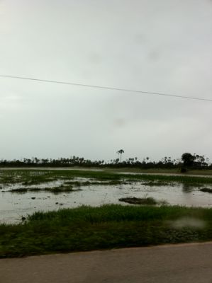 f:id:netanker:20110616092401j:image