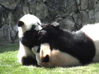 f:id:netanker:20120520182511j:image