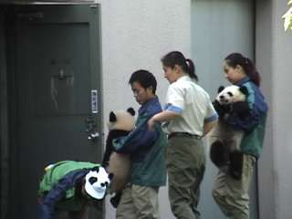 f:id:netanker:20120520182513j:image