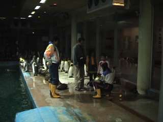 f:id:netanker:20120520182516j:image