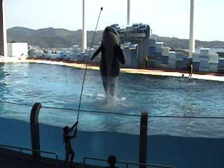 f:id:netanker:20120520182520j:image
