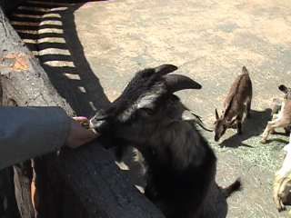 f:id:netanker:20120520182523j:image