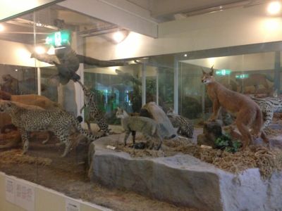 f:id:netanker:20130727090501j:image f:id:netanker:20130727090501j:image