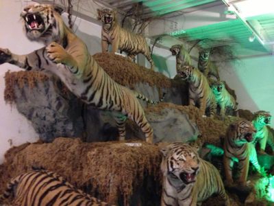 f:id:netanker:20130727090657j:image f:id:netanker:20130727090657j:image