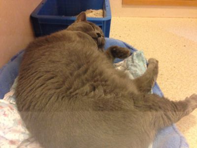 f:id:netanker:20130727100351j:image f:id:netanker:20130727100351j:image