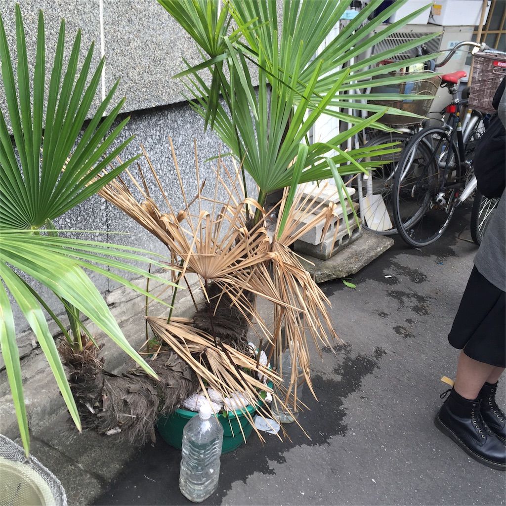 f:id:netanker:20160424192039j:image f:id:netanker:20160424192039j:image