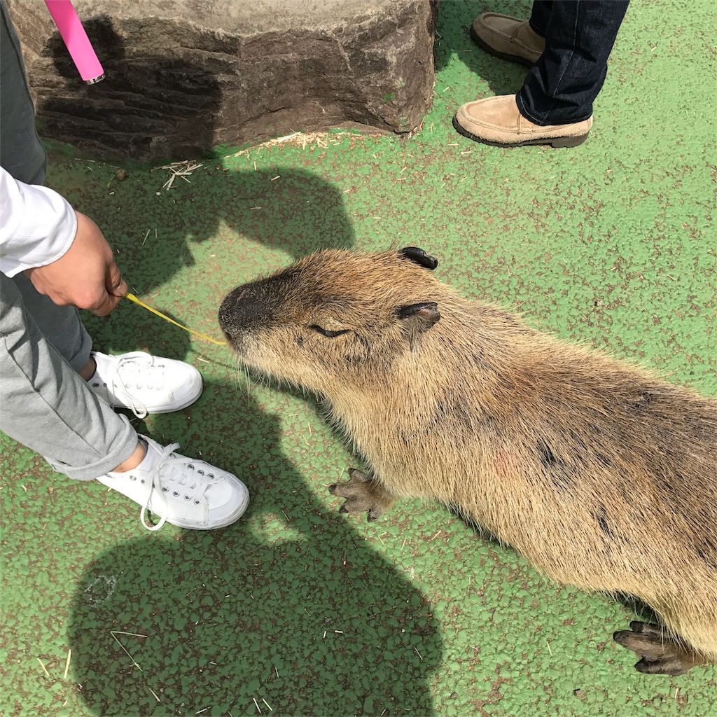 f:id:netanker:20170505105443j:image