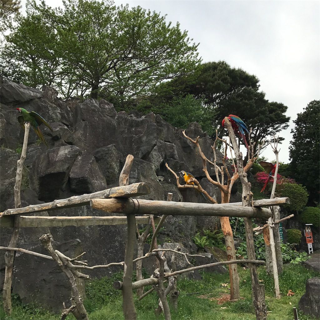 f:id:netanker:20170505105514j:image