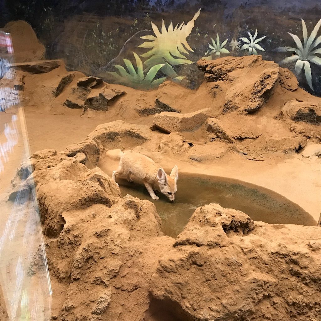 f:id:netanker:20170505105526j:image