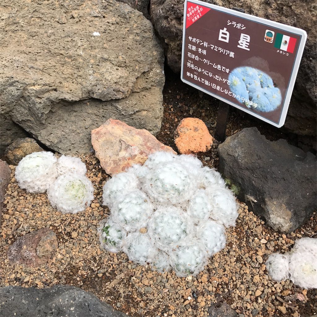 f:id:netanker:20170505105549j:image