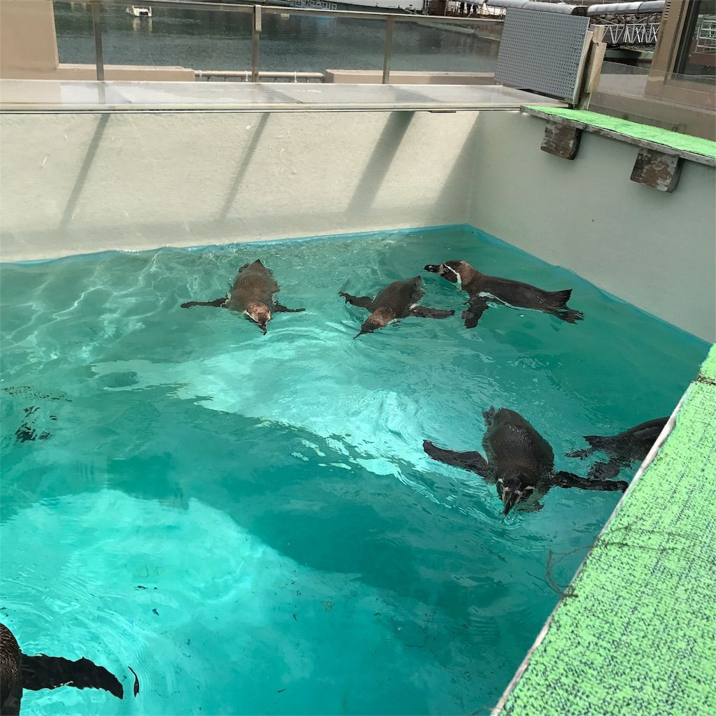 f:id:netanker:20170505105841j:image