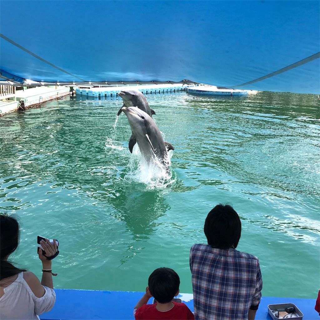 f:id:netanker:20170505105854j:image