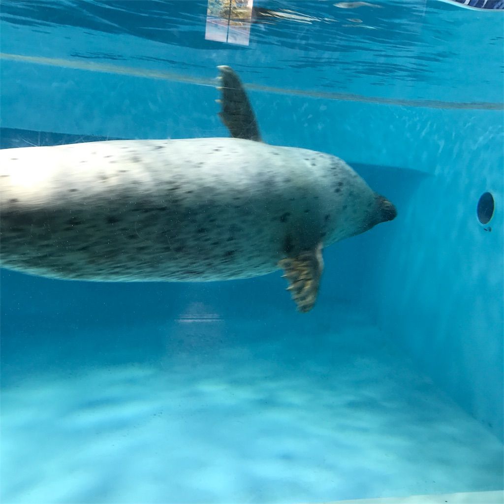 f:id:netanker:20170505110000j:image