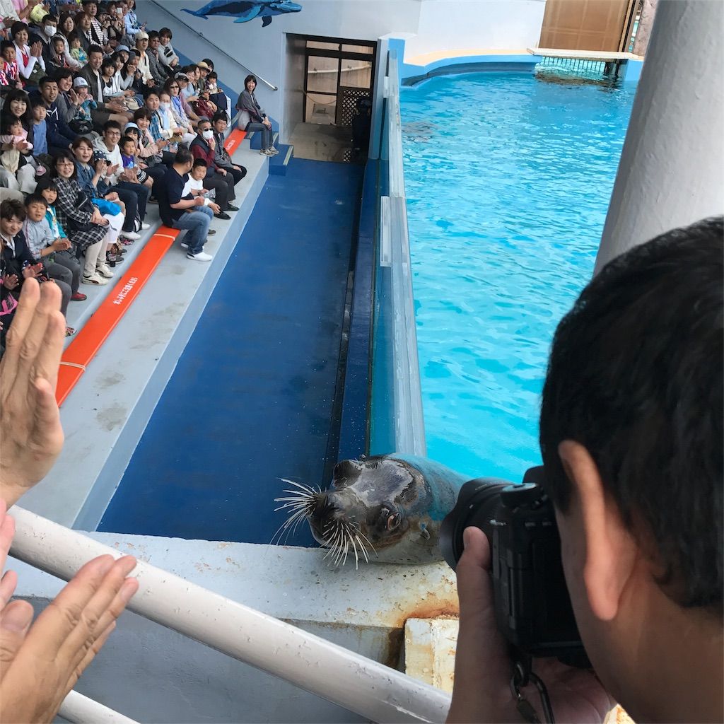 f:id:netanker:20170506190341j:image