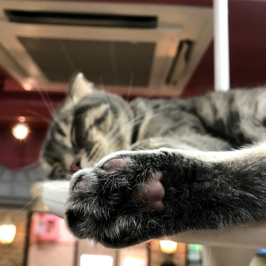f:id:netanker:20180408184557j:plain