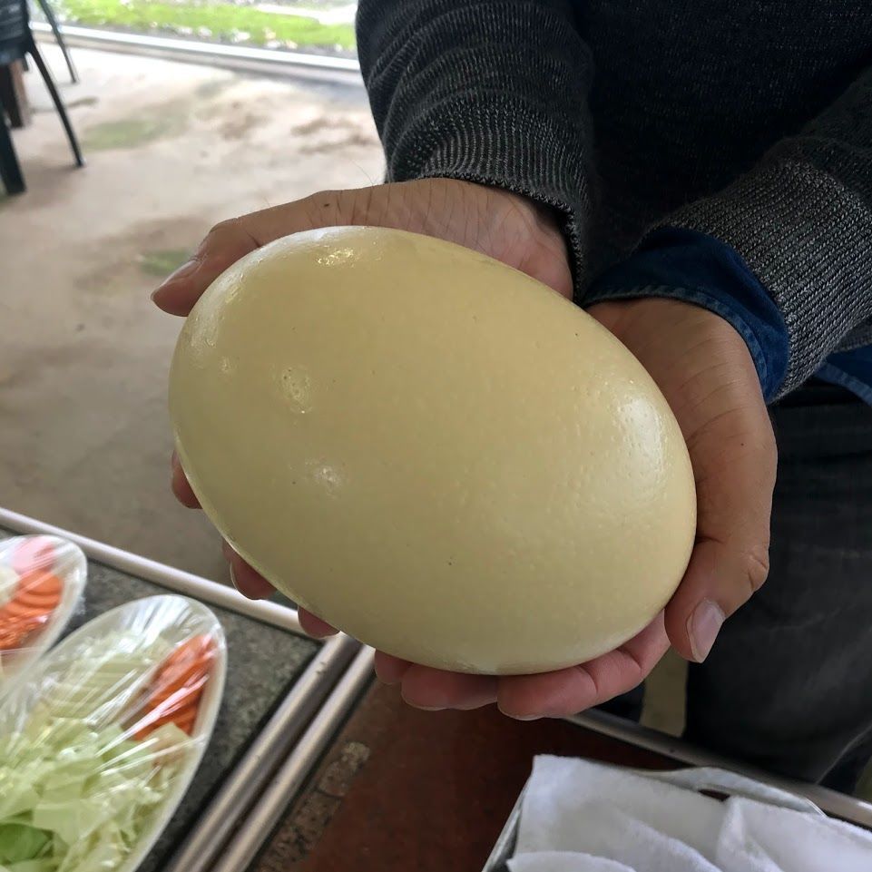 f:id:netanker:20191019222357j:plain f:id:netanker:20191019222357j:plain