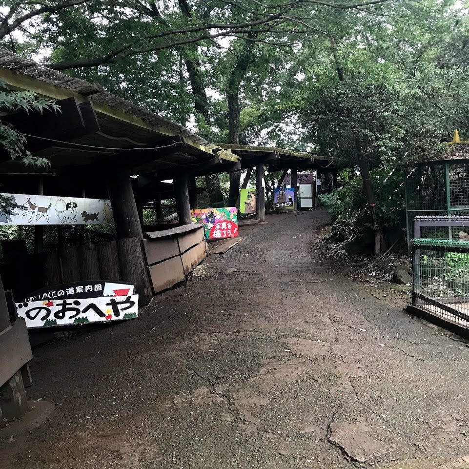f:id:netanker:20191019222424j:plain f:id:netanker:20191019222424j:plain