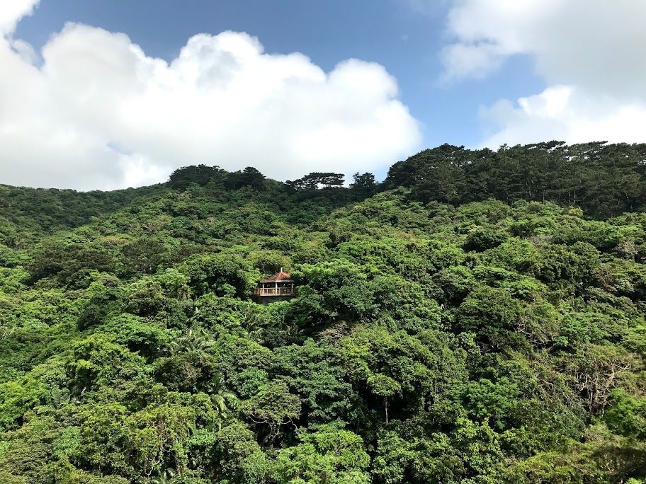 f:id:netanker:20200327233407j:plain