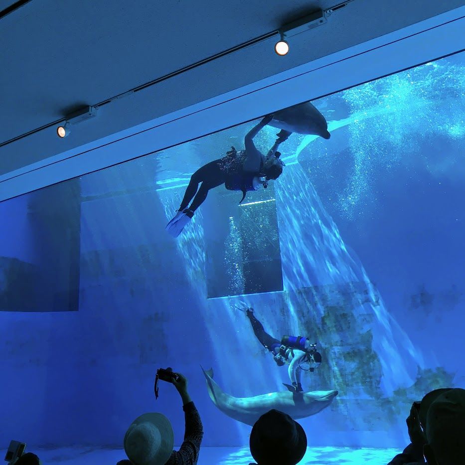 f:id:netanker:20210425125442j:plain