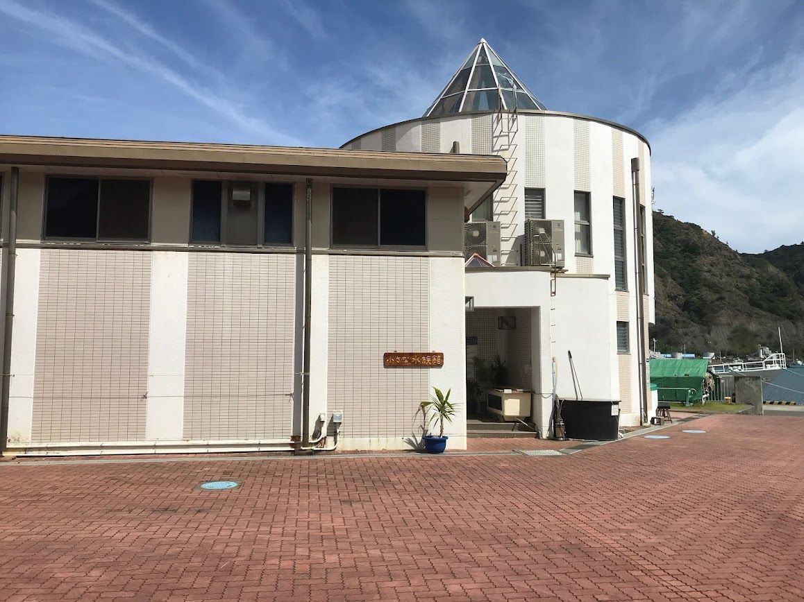 f:id:netanker:20210921135026j:plain