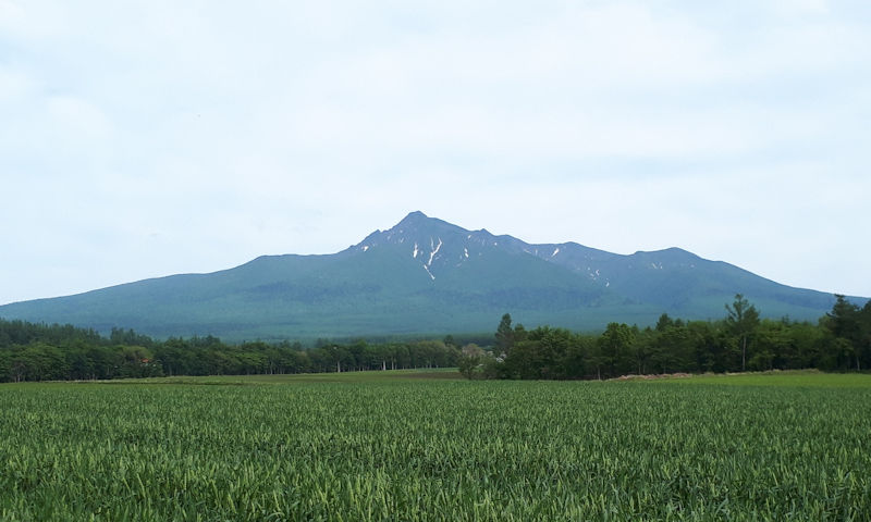 f:id:netarouyama:20200929233249j:plain